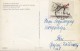 Figure Skating World Championship Budapest Hungary 1955 Postcard W Signatures ! - Eiskunstlauf