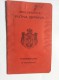 PASSEPORT D´EMIGRANT  PASSPORT REISEPASS  1928. KINDOM OF  SHS  KRSKO KRŠKO     VISA TO: CANADA , FRANCE - Historical Documents