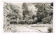 RB 1034 - 1961 Postcard - The Japanese Gardens - Tully Kildare - Ireland Eire - Kildare