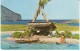 Oahu Hawaii, Makapu'u Point Sea Life Park Performance Woman Swims With Porpoises, C1960s Vintage Postcard - Oahu