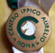 ITALY - 3 MEDALS FOR HORSES RACE - Equitation