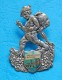 BAD SACKINGEN - Souvenir- Abzeichen, Pins, Badge, Germany, - Alpinisme