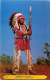 Indian Warrior  Greetings From Chinook, MT  - Unused - Indiani Dell'America Del Nord