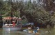 DISNEY---jungle River Cruise---voir 2 Scans - Disneyland