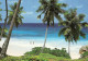 *SEYCHELLES* Cartolina NUOVA - Seychelles