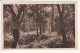 CASTETS (40-Landes),  Dans Les Landes De Gascogne, Pins Francs, Ed. Marcel Delboy,1930 Environ - Castets