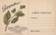 18770- AGRICULTURE, PESTS ADVERTISING - Cultures