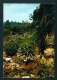 SPAIN  -  Blanes  Botanical Garden  Used Postcard As Scans - Other & Unclassified