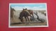 - Wyoming> Cheyenne  Cowboy Leaving Bucking  Broncho -1819 - Cheyenne