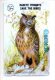 Télécarte Phonecard Birds Chouette Hibou Betkom Card Bubo Bubo Bulgarie - Owls