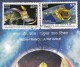 Stamped First Day Indo France Joint Issue Space Satellite,, Ecosystem Water Nature Weather Climate Marine Life, 2015 - Asie