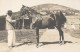 Elevage De Chevaux Madagascar Ancienne Photographie Diez 1924 - Africa