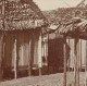 Madagascar Tamatave Construction D'une Case Ancienne Photo 1902 - Africa
