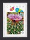 Delcampe - [1]  CACTUS FLOWERS  Set Of 5 Personalized Picture Postage Unused Stamps, "P"- Rate. Canada 2015 [p15/2ct51] - Cactusses