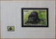 Congo Kin 2002 COB 1227/30. 4 Dessins Originaux, Du Dessinateur André Buzin à L´imprimeur, WWF, Gorilles. Unique - Gorilles