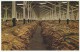 Interior Of A Loose-Leaf Tobacco Warehouse - Autres & Non Classés