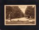 54261     Belgio,    Tervueren,  Le  Parc,  Une Vue Dans Le Parc,  VG  1928 - Tervuren