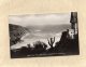 54314      Regno  Unito,    View From The Crag Hotel,  Maenporth,  Cornwall,  VG  1957 - Altri & Non Classificati