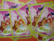 Lot Images Autocollantes Autocollant Figurine PANINI, WINX Club, + Cartes De Collection - Edizione Italiana