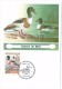 FRANCE - 4 Cartes Maximum - Nature De France - Espèces Protégées De Canards - 1993 - Anatre