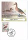 FRANCE - 4 Cartes Maximum - Nature De France - Espèces Protégées De Canards - 1993 - Canards