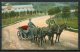 Russia Troika Horse Carriage E.G.S.i.S. Postcard - Russia