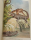 AU PERIL De La JUNGLE R. Ballantyne Collection Grand Large - Chauve Souris Crocodile Léopard - Casterman