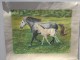 PASTEL  -  CHEVAL  -  SIGNE DANNY - Pastelli