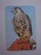 1 CALENDAR CALENDARIO CALENDRIER KALENDER SMALL - ANIMAL ZOO EAGLE - Klein Formaat: 1981-90