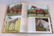 Anne Alcock "Pferde In Farbe" Mit 150 Farbaufnahmen - Animaux