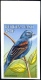 BIRDS-BURKINA FASO-1998-SET OF 6-ALL IMPERF-MNH- A5-559 - Specht- & Bartvögel