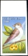 Delcampe - BIRDS-BURKINA FASO-1998-SET OF 6-ALL IMPERF-MNH- A5-559 - Piciformes (pájaros Carpinteros)