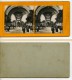 France Paris Exposition Universelle Porte Monumentale Ancienne Photo Stereoscope SIP 1900 - Fotos Estereoscópicas