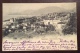 SUISSE - NEUCHATEL - VUE PRISE DU MAIL - PER  GENOVA  NEL 1900 - Neuchâtel