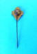 FC BUDUCNOST - Football Soccer Club Montenegro Ex Yugoslavia Old Pin Badge Fussball Futbol Futebol Calcio Anstecknadel - Fútbol