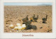 Namibia - Animal - Ostrich Chicks - Nice Stamp - Namibie