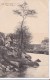 Carte 1910 PONT AVEN / LE PORT : ETUDE D'ARBRES - Pont Aven