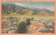 Carte Vers 1920 MOUNT SAN JACINTO FROM THE DESERT , CALIF - Autres & Non Classés