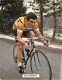 CYCLISME . BERNARD HINAULT . - Sportifs