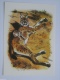 Old USSR Postcard. Nikolsky . Lynx With Cubs . 1970s - Chats