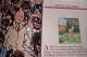 TINTIN  ET  LE  MONDE  D'HERGE  ( Benoit  Peeters )  -1988 France-Loisirs - Tintin