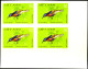 HUMMING BIRDS-SUN BIRDS-IMPERF BLOCKS-SET-VIETNAM-SCARCE-MNH-A5-669 - Kolibries