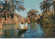 IRAQ  IRAK NASIRIYAH, THE MARSHES, BOYS IN BOAT, Vintage Old Photo Postcard - Iraq