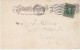 Tacoma Washington, Carnegie Public Library And Courthouse, C1900s Vintage Postcard - Tacoma