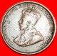 § PALM TREE: CEYLON &#9733;1 CENT 1928! GEORGE V (1911-1936)! LOW START&#9733; NO RESERVE! - Sri Lanka