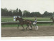 PHOTO GRAND FORMAT 24 X 18.ULMILLE Ch.BEAUCOURT Cavaillon 5-5-93 (cheval Trot Attelé Hippisme Turf Horse Sport Hippique - Sports