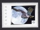NEW !  OWLS  Set Of 4 Picture Postage MNH Stamps, Limited Issue, Canada 2015 [p15/6ow4] - Owls