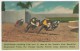 Greyhounds Rounding First Turn In Race, Volusia County Kennel Club, Daytona Beach - 1949 - Daytona