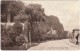 Military Road, Rye Black & White Postcard By J Salmon "Sepia Style" Unused - Rye