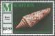 Rare Cone, Seashell / Sea Shell, Marinelife, Scott 509, MNH 1980, Mauritius - Coquillages